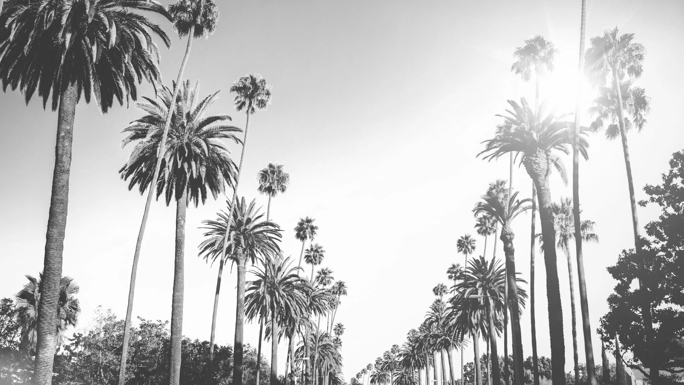 The Los Angeles Film School